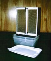Black Vengeance Lady Beetle Trap